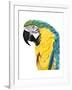 Watercolor Parrot-Naomi McCavitt-Framed Art Print