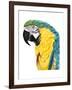 Watercolor Parrot-Naomi McCavitt-Framed Art Print