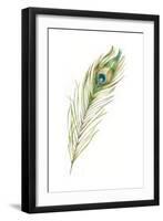 Watercolor Peacock Feather II-Ethan Harper-Framed Art Print