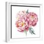 Watercolor Peonies Bouquet-Eisfrei-Framed Art Print