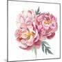 Watercolor Peonies Bouquet-Eisfrei-Mounted Art Print