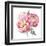 Watercolor Peonies Bouquet-Eisfrei-Framed Art Print