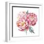 Watercolor Peonies Bouquet-Eisfrei-Framed Art Print