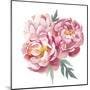 Watercolor Peonies Bouquet-Eisfrei-Mounted Art Print