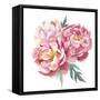 Watercolor Peonies Bouquet-Eisfrei-Framed Stretched Canvas