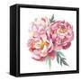 Watercolor Peonies Bouquet-Eisfrei-Framed Stretched Canvas