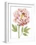 Watercolor Peony I-Grace Popp-Framed Art Print