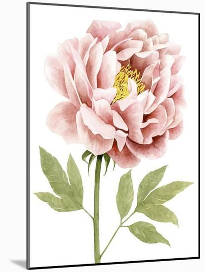 Watercolor Peony I-Grace Popp-Mounted Art Print