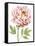 Watercolor Peony I-Grace Popp-Framed Stretched Canvas