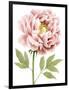 Watercolor Peony I-Grace Popp-Framed Art Print