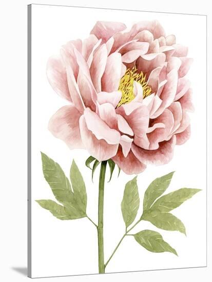 Watercolor Peony I-Grace Popp-Stretched Canvas