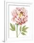 Watercolor Peony I-Grace Popp-Framed Art Print