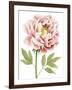 Watercolor Peony I-Grace Popp-Framed Art Print