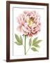 Watercolor Peony I-Grace Popp-Framed Art Print