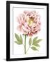 Watercolor Peony I-Grace Popp-Framed Art Print