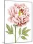 Watercolor Peony I-Grace Popp-Mounted Art Print