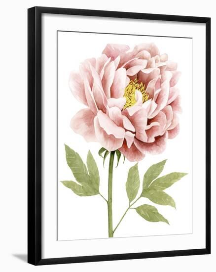 Watercolor Peony I-Grace Popp-Framed Art Print