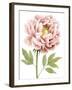 Watercolor Peony I-Grace Popp-Framed Art Print