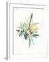 Watercolor Plant II-null-Framed Art Print