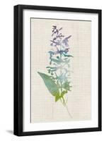 Watercolor Plants I-Naomi McCavitt-Framed Art Print