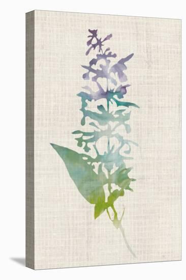 Watercolor Plants I-Naomi McCavitt-Stretched Canvas