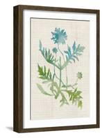 Watercolor Plants III-Naomi McCavitt-Framed Art Print