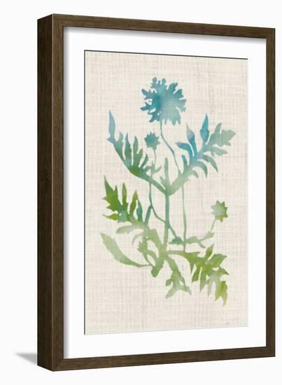 Watercolor Plants III-Naomi McCavitt-Framed Art Print