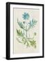 Watercolor Plants III-Naomi McCavitt-Framed Art Print