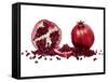 Watercolor Pomegranate-Michael Willett-Framed Stretched Canvas