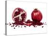Watercolor Pomegranate-Michael Willett-Stretched Canvas