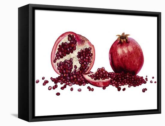 Watercolor Pomegranate-Michael Willett-Framed Stretched Canvas