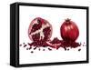 Watercolor Pomegranate-Michael Willett-Framed Stretched Canvas