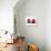 Watercolor Pomegranate-Michael Willett-Stretched Canvas displayed on a wall
