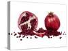 Watercolor Pomegranate-Michael Willett-Stretched Canvas