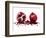 Watercolor Pomegranate-Michael Willett-Framed Art Print