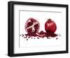 Watercolor Pomegranate-Michael Willett-Framed Art Print