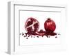 Watercolor Pomegranate-Michael Willett-Framed Art Print