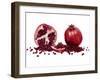 Watercolor Pomegranate-Michael Willett-Framed Art Print