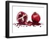 Watercolor Pomegranate-Michael Willett-Framed Art Print