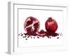 Watercolor Pomegranate-Michael Willett-Framed Art Print