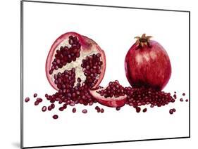 Watercolor Pomegranate-Michael Willett-Mounted Art Print