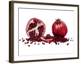 Watercolor Pomegranate-Michael Willett-Framed Art Print