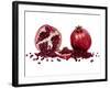 Watercolor Pomegranate-Michael Willett-Framed Art Print