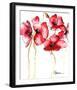 Watercolor Poppies II-Leticia Herrera-Framed Art Print