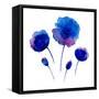 Watercolor Poppies on the White Background.-Vodoleyka-Framed Stretched Canvas