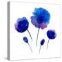 Watercolor Poppies on the White Background.-Vodoleyka-Stretched Canvas