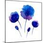 Watercolor Poppies on the White Background.-Vodoleyka-Mounted Art Print