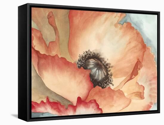 Watercolor Poppy II-Megan Meagher-Framed Stretched Canvas