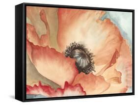 Watercolor Poppy II-Megan Meagher-Framed Stretched Canvas