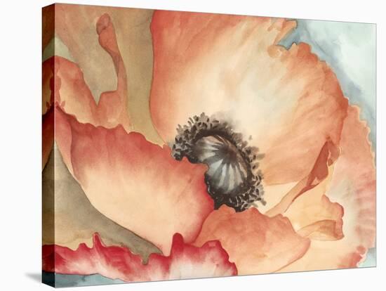 Watercolor Poppy II-Megan Meagher-Stretched Canvas